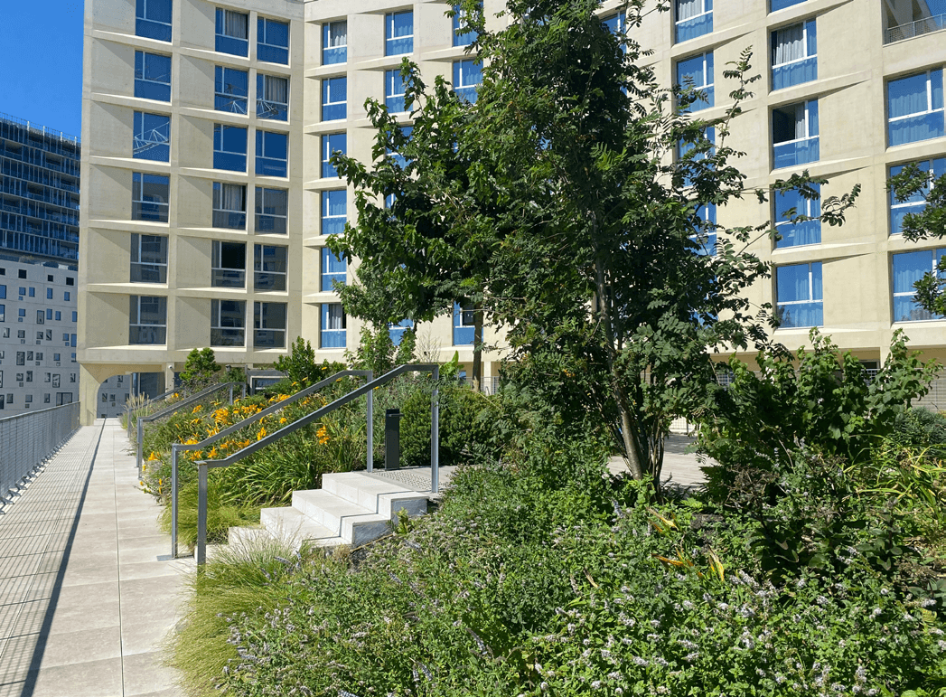Toiture végétalisée du campus ESSMA