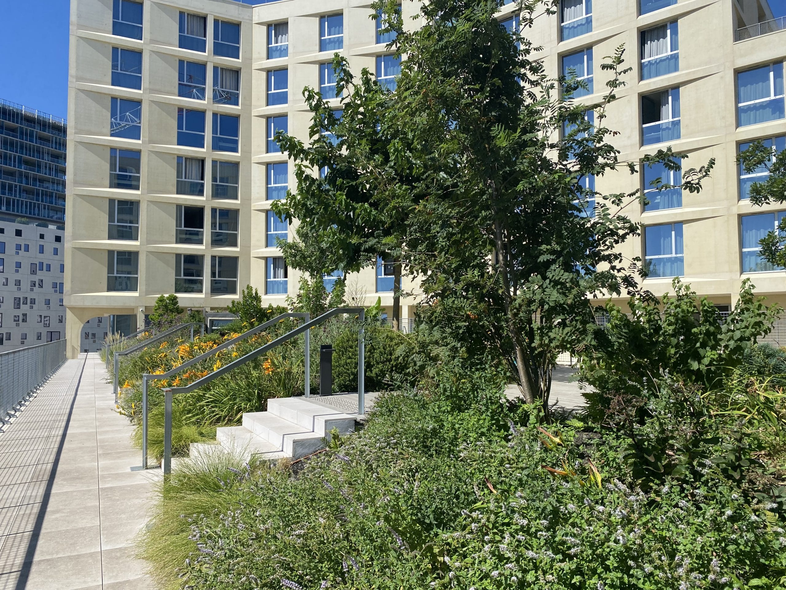Toiture végétalisée du campus ESSMA