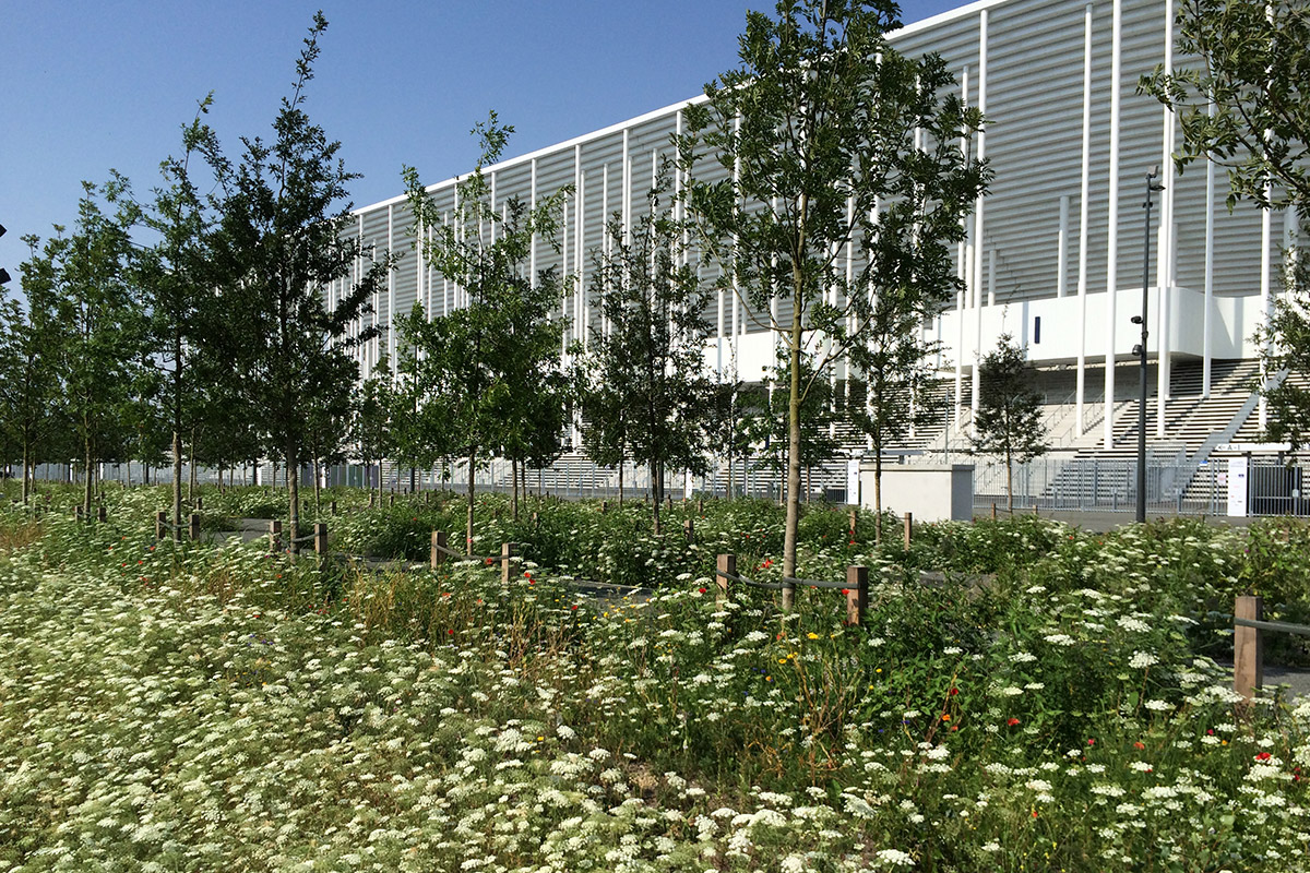 Aménagement paysager du stade Matmut Atlantique à Bordeaux